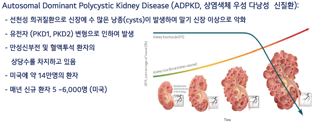 ADPKD 설명 및 환자 현황. (제공=메지온)