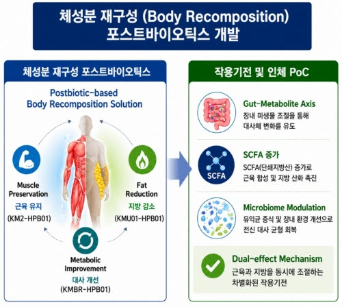 KM2-HPB01의 근력 유지 기능과 KMU01-HPB01의 체지방 감소 기능을 결합한 KMBR-HPB01 체성분 재구성 개발 개념도 (사진=국민바이오)