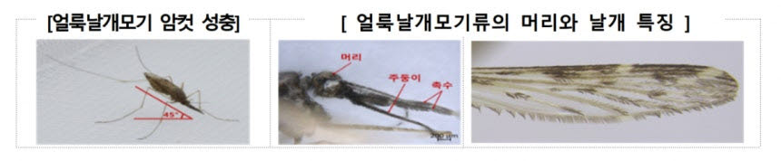 (사진=질병관리청)