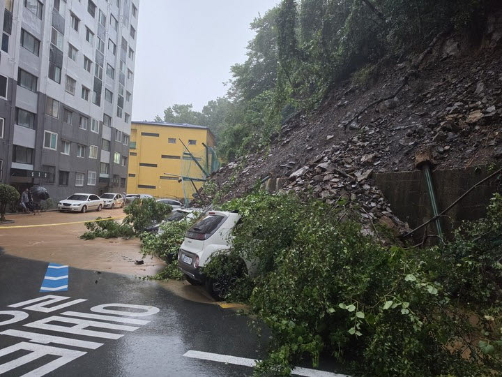 17일 오전 경남 거제시 한 주택가에서 산사태가 발생해 흘러내린 토사와 나무가 주차된 차량을 덮쳤다. (사진=경남소방본부)