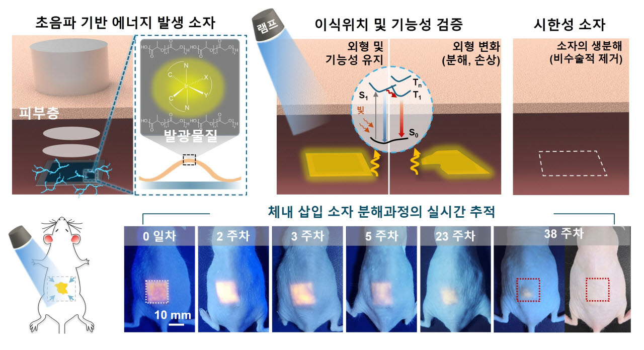 상태가 보이는 삽입형 소자의 구동 및 활용 모식도. 개발된 발광 소재를 생분해성 소재와 결합해 초음파 기반 마찰전기 에너지 하베스팅 소자를 제작했다. 소자의 구동 원리와 위치·상태 모니터링 과정을 보여주는 그림, 그리고 생쥐 실험을 통해 38주간 소자의 분해 과정을 추적한 실제 사진. (사진=연세대학교 김상우 교수)