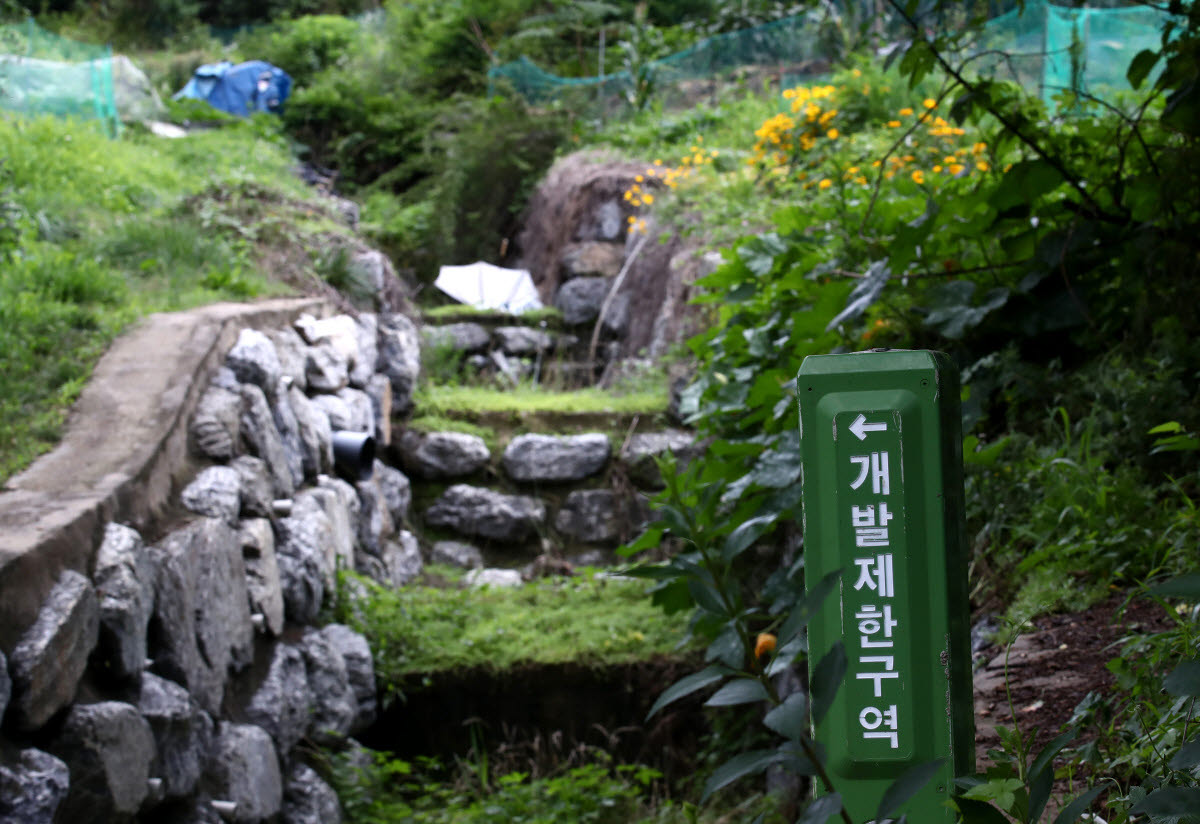 서울 서초구 내곡동 개발제한구역 일대.(사진=연합뉴스)