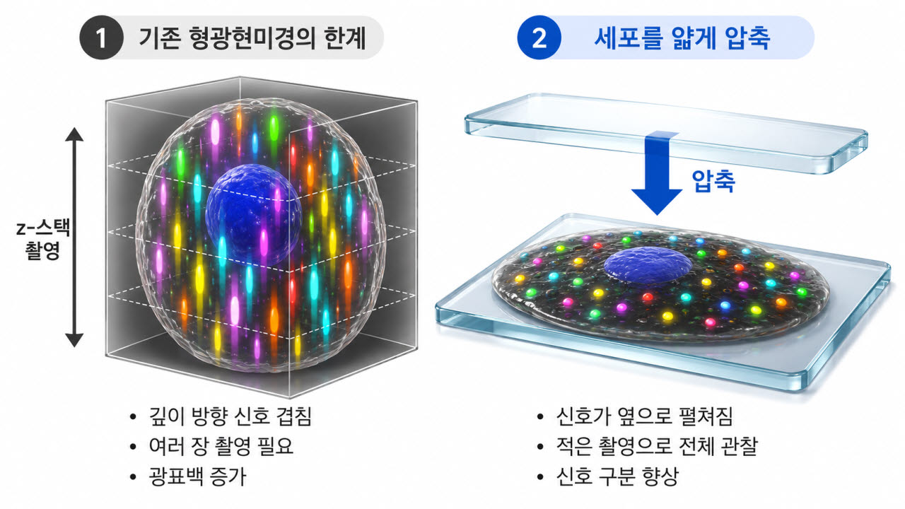 (이미지=한양대)
