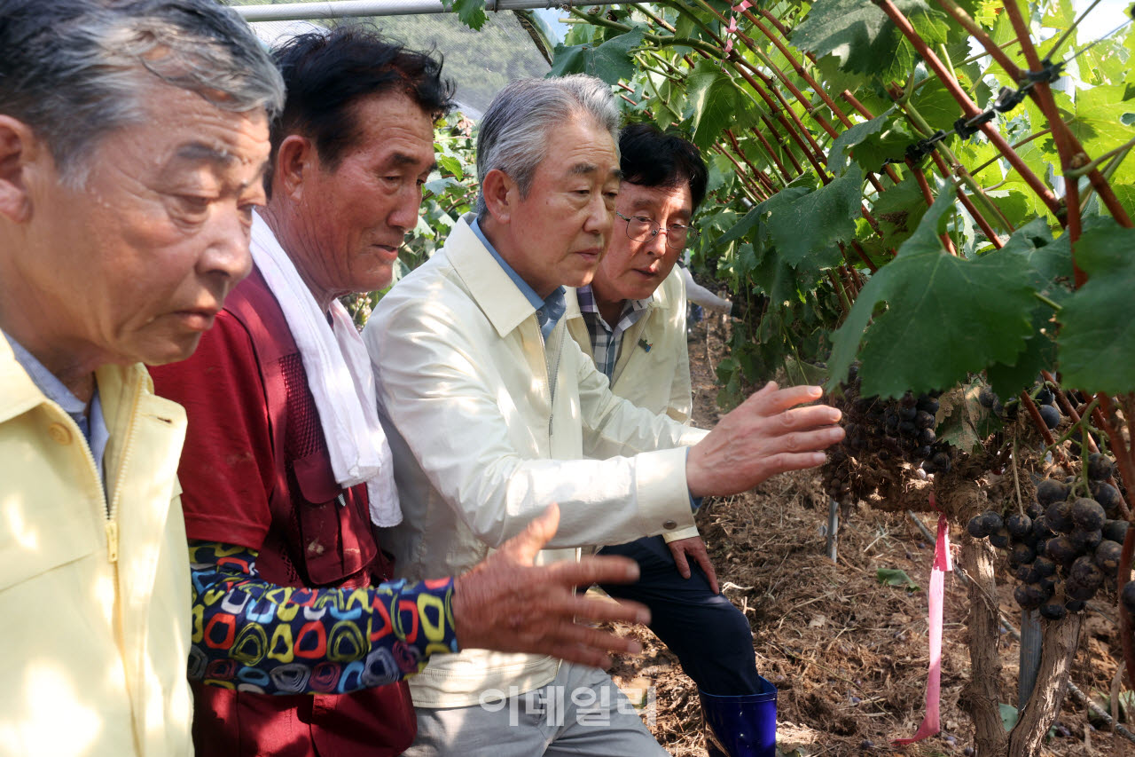 [포토] 폭우 피해농가 찾은 강호동 농협 회장
