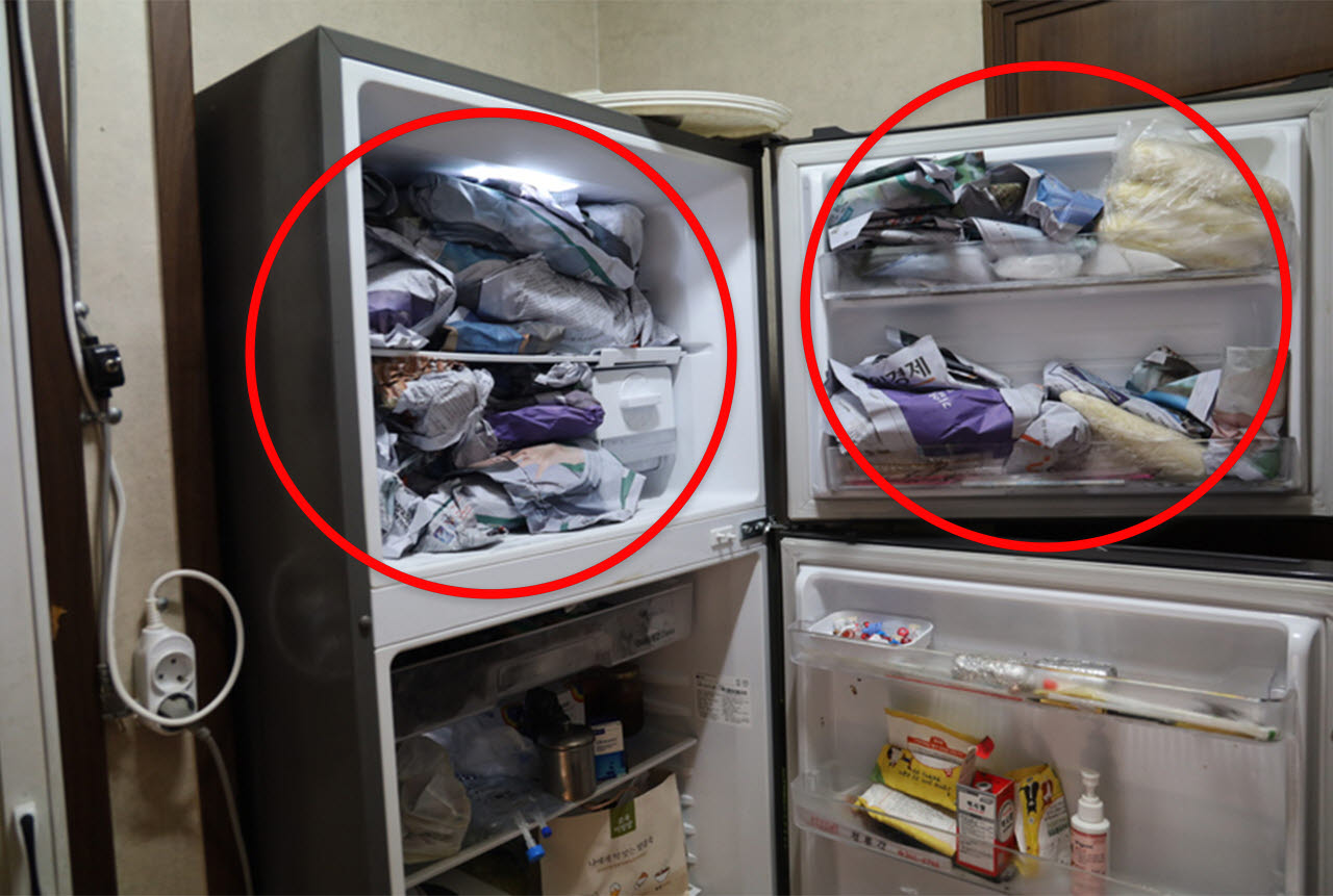 2023년 9월 경기 화성의 한 번식장 냉동고에서 발견된 개 사체들. 사체는 신문지에 쌓여 있었으며 총 92구가 발견됐다. (사진=동물권행동 카라)