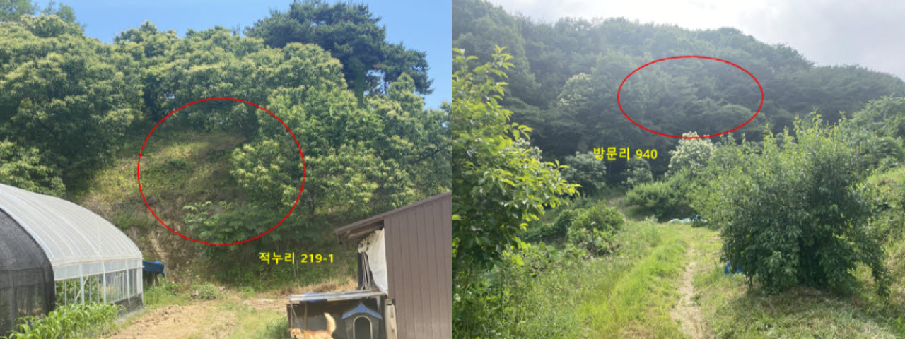 열한 차례 유찰된 친일귀속재산 두곳. 왼쪽은 충남 청양군 청양읍 적누리 219-1 대지(132㎡), 오른쪽은 공주시 우성면 방문리 940 임야(60㎡)로 붉은 원 안이 매각 대상 필지다. (사진= 온비드)