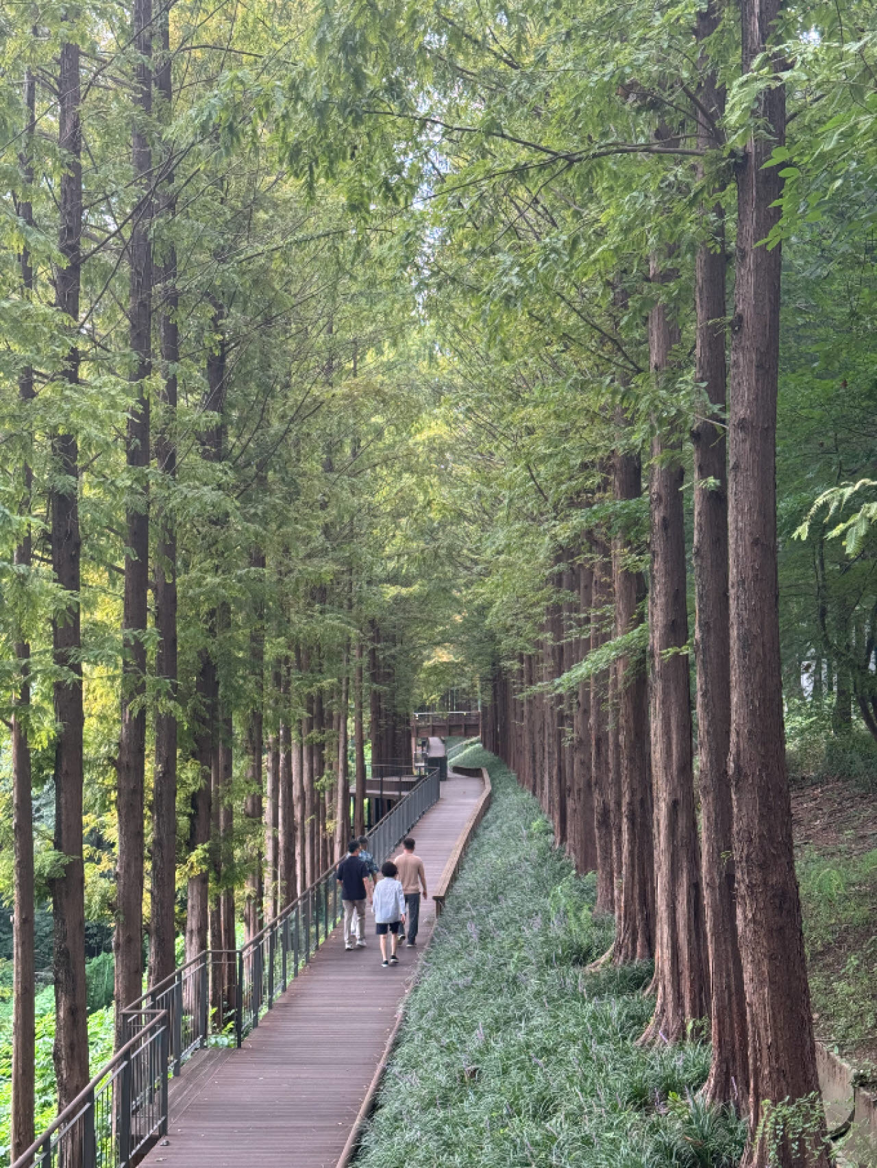 시민들이 탄천물재생센터 마루공원과 대진초등학교 사이에 마련된 산책로를 걷고 있다.(사진=이정현 기자)