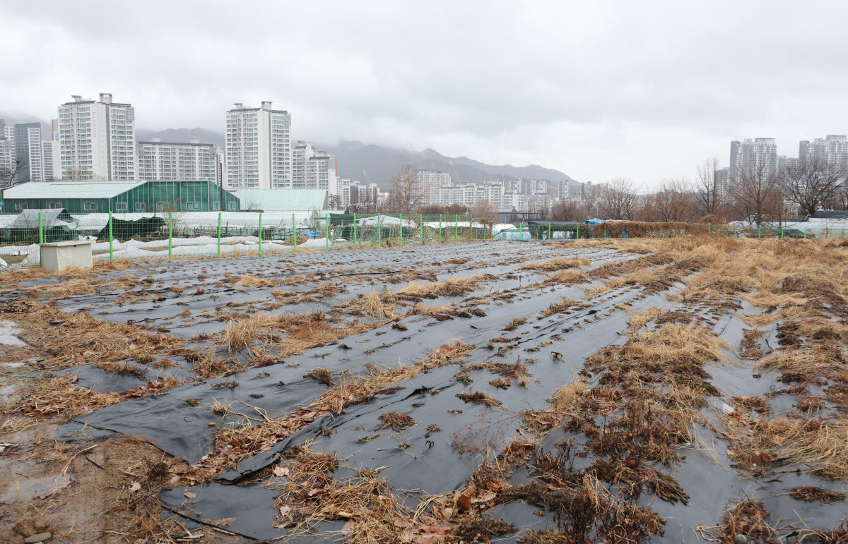 지난 3월 수도권 내 한 농지 너머로 아파트 단지 등 재개발 구역이 들어서 있다. (사진=연합뉴스)