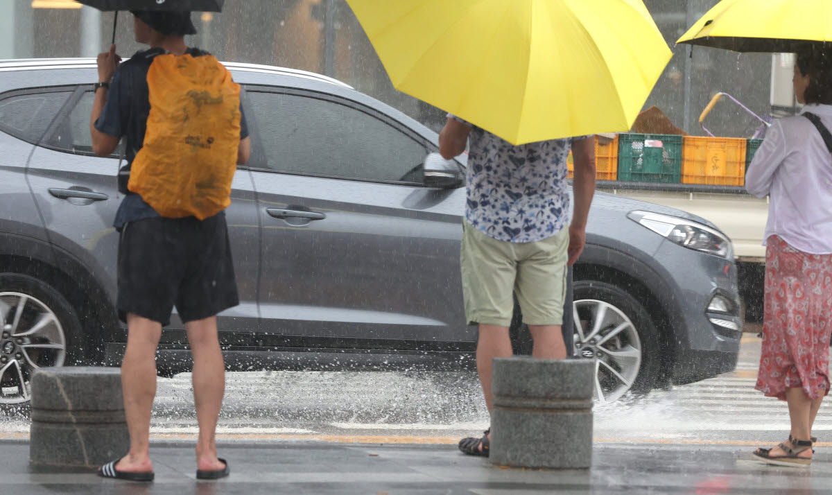 우산 쓴 시민들(사진= 연합뉴스)