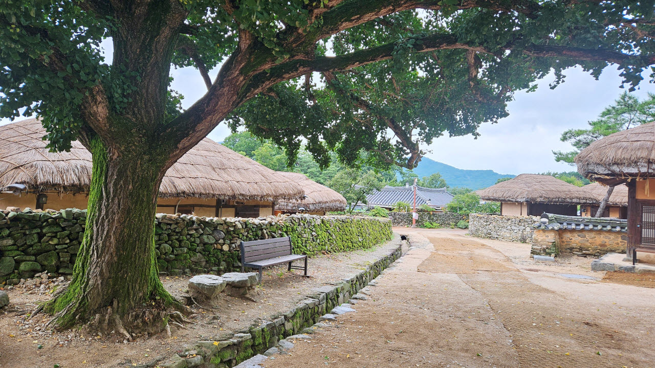 외암민속마을 전경 (사진=오희나 기자)