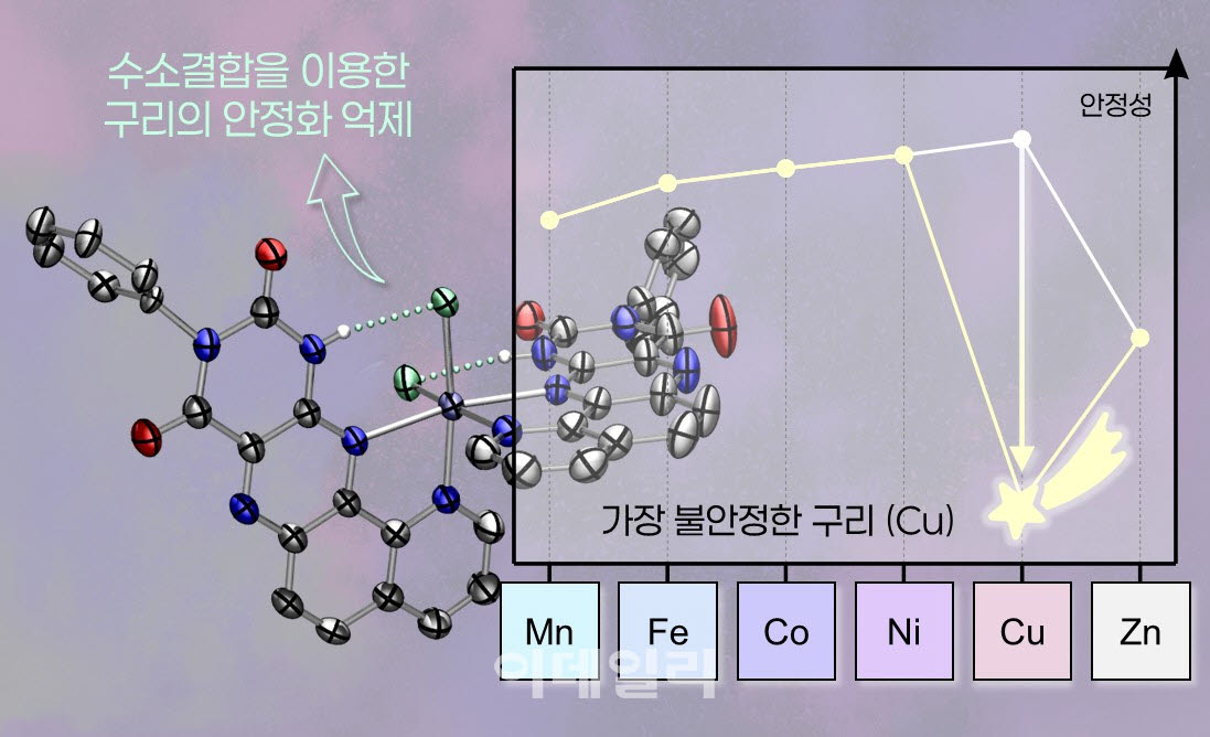 금속 주변의 수소결합이 구리의 안정성을 선택적으로 낮춰 기존 Irving-Williams series를 뒤집음을 보여주는 그림(사진=KAIST)