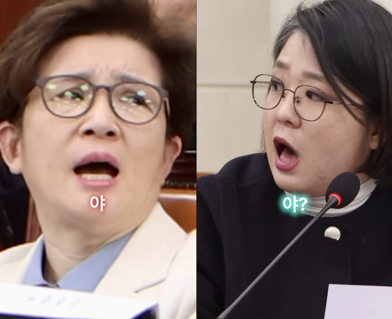 지난해 2월 청문회 당시 충돌한 강선영 국민의힘 의원(왼쪽)과 용혜인 기본소득당 의원. (이미지=유튜브 '용혜인' 캡처)