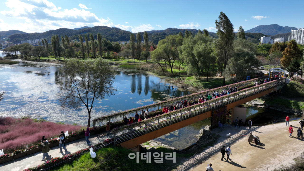 자라섬 전경.(사진=가평군)