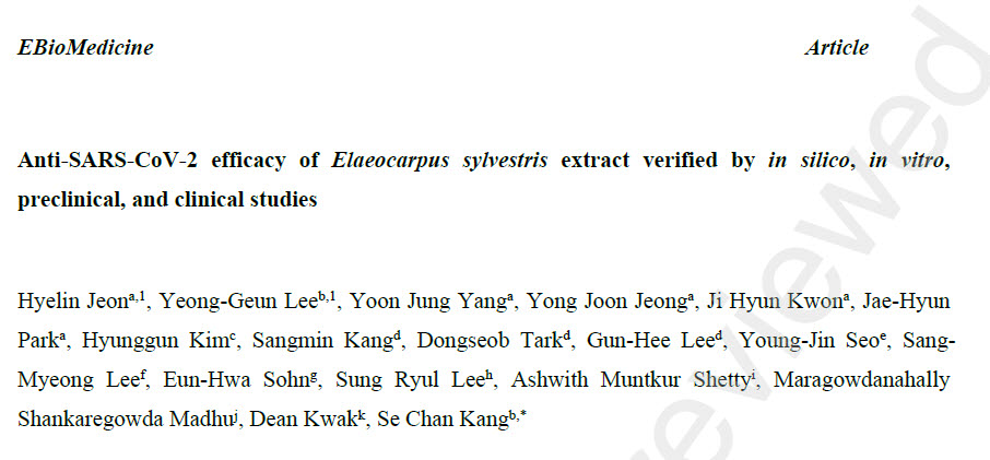 국제학술지 EBioMedicine에 게재된 담팔수 추출물의 코로나19 항바이러스 효능 관련 논문. 연구진은 컴퓨터 분석(in silico), 세포실험(in vitro), 전임상 및 임상시험을 통해 SARS-CoV-2에 대한 효능을 평가했다.(갈무리=김지완 기자)