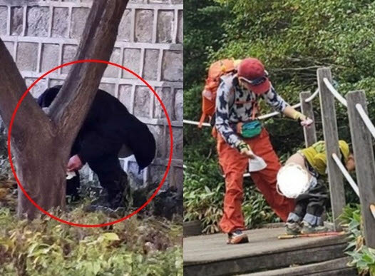길거리 '용변 테러' 해명한 중국인 