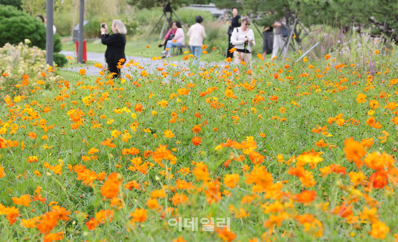 완연한 가을날씨를 보인 10일 서울 종로구 열린송현녹지광장을 찾은 시민들이 산책을 하고 있다. (사진=방인권 기자)