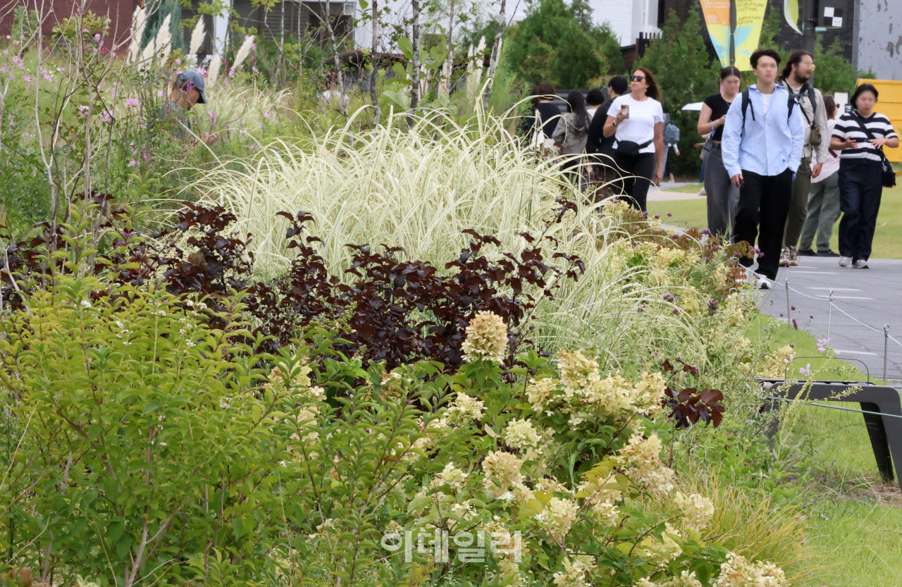 완연한 가을날씨를 보인 지난 10일 서울 종로구 열린송현녹지광장을 찾은 시민들이 산책을 하고 있다.(사진=방인권 기자)