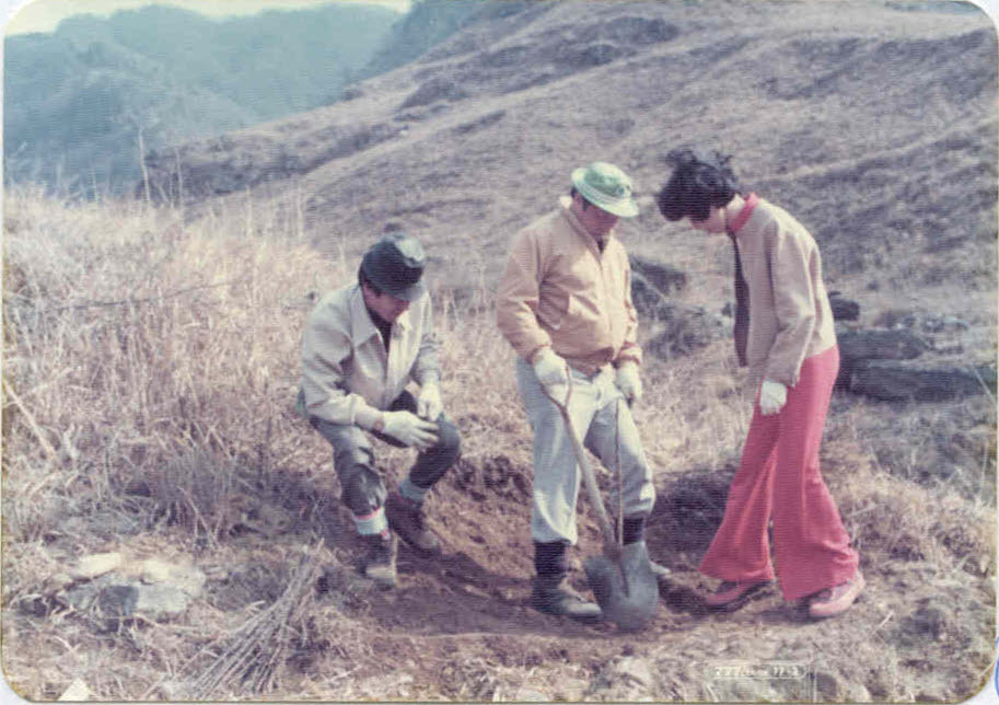 1972년 최종현 SK 회장(가운데)이 인등산에서 나무를 심고 있다. (사진=SK임업)