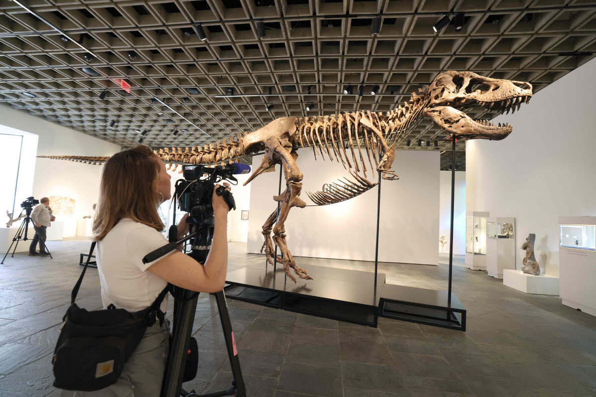A videographer documents 