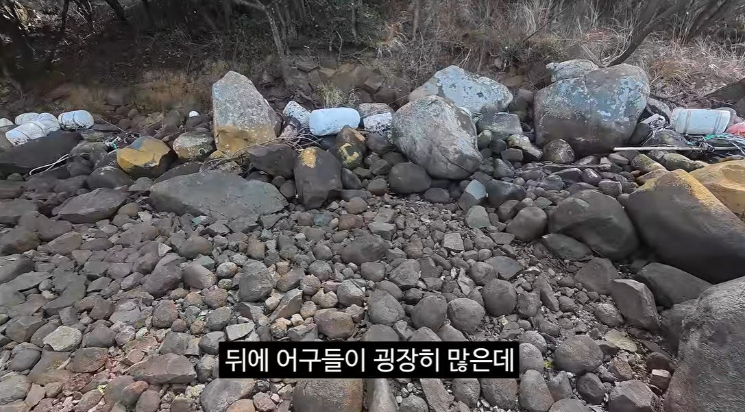 사진=유튜브 채널 '김선태' 캡처
