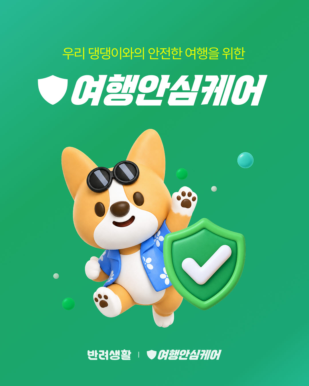 반려생활, 반려견 여행보험 ‘반려생활 여행안심케어’ 출시