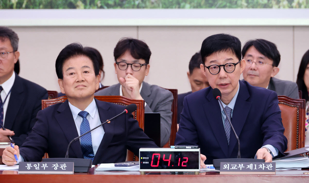 박윤주 외교부 1차관이 17일 국회에서 열린 외교통일위원회 전체회의에서 호르무즈 파병 문제와 관련한 의원들의 질의에 답변하고 있다. 왼쪽은 정동영 통일부 장관. [연합뉴스 제공]