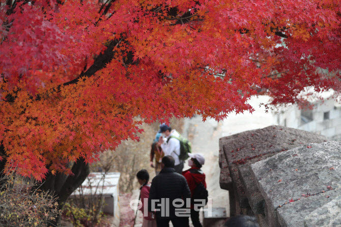 지난해 가을의 끝자락에 접어든 서울 종로구 청와대 뒤편 북악산 북측탐방로 곡장전망대 인근의 모습이다.(사진=노진환 기자)