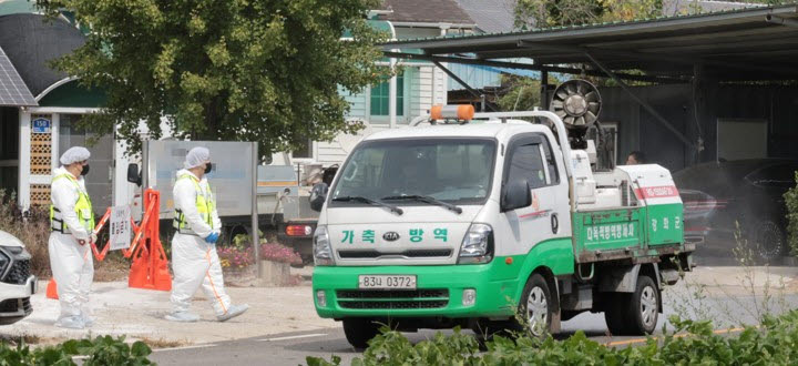 지난 17일 구제역이 확진된 인천 강화군의 한 축산농가에서 방역 차량이 주변을 방역하고 있다. (사진=연합뉴스)