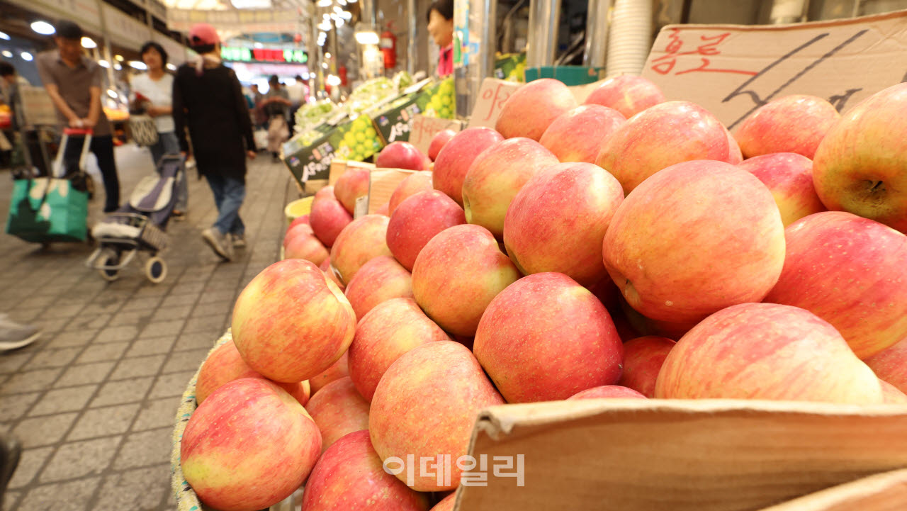 [이데일리 방인권 기자] 추석 명절을 앞두고 서울 동대문구 경동시장을 찾은 시민들이 장을 보고 있다.