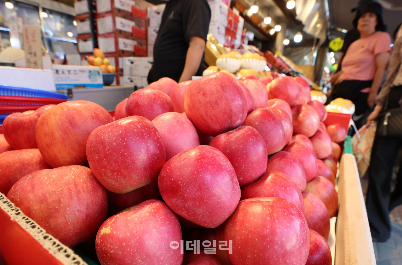 [이데일리 방인권 기자] 추석 연휴를 앞둔 20일 서울 동대문구 경동시장을 찾은 시민들이 제수용품을 구매하고 있다.
