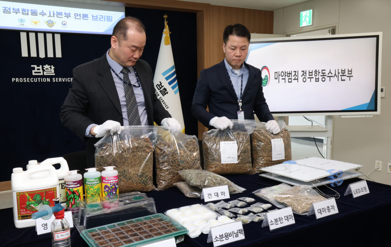 지난 2월 경기 수원시 영통구 수원지방검찰청 브리핑룸에서 열린 마약범죄 정부합동수사본부의 대마 재배시설 적발 관련 브리핑에 앞서 수사관들이 건조 대마 및 대마 재배시설 등 압수품을 공개하고 있다.(사진=뉴스1)