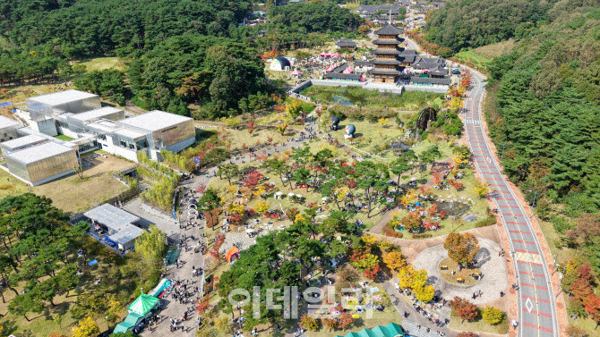 문화체육관광부 주관 ‘로컬100’에 선정된 2025년 김천김밥축제 전경.(사진=김천시)