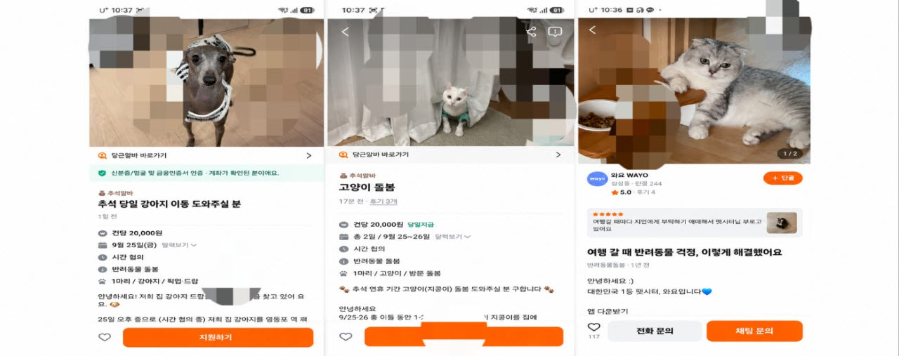 추석 연휴를 앞두고 지역생활 플랫폼과 반려동물 돌봄 플랫폼 등에 강아지·고양이를 돌봐줄 방문 펫시터를 구하는 게시물이 올라오고 있다. (사진=당근마켓 화면캡처)