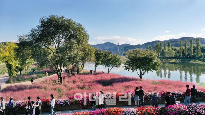 가평 자라섬 꽃 페스타.(사진=가평군)