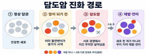 색깔이 다른 원은 서로 다른 암세포 무리를 뜻하며, X는 경쟁에서 밀려 사라진 무리다. 수술 후 재발·전이도 세포 한 개가 아닌 여러 세포 무리가 함께 일으킨다.