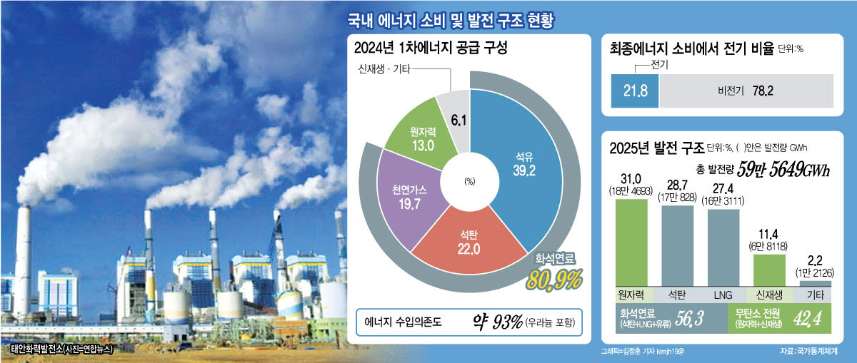국내 에너지 소비 및 발전 구조 현황(그래픽=김정훈 기자)