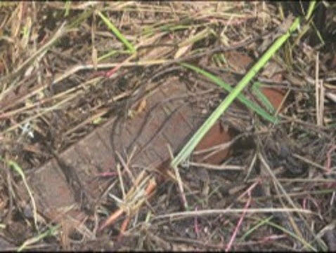 합동참모본부는 29일 실시한 비무장지대(DMZ) 지뢰 폭발 관련 3일차 현장조사에서 발견된 북한의 수지(플라스틱) 반(反)보병지뢰 1발의 추가 사진을 공개했다.[합동참모본부 제공]
