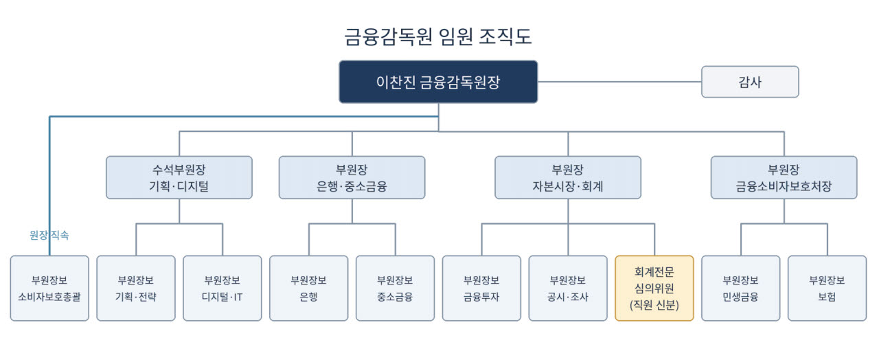 금감원 임원 정원 27년 만에 확대 추진…부원장보 9→10명