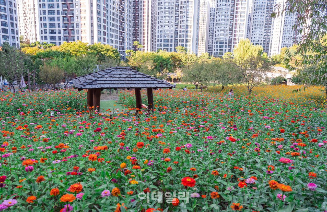[포토] 상일동 '파믹스 가든'의 가을 정취