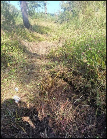 합동참모본부가 5일 25사단 DMZ 작전간 지뢰 폭발상황 관련 합동 현장조사 TF 최종 조사결과를 발표하며 사진을 공개했다. 사진은 현장조사에서 폭발 지점과 그 주변으로 식별된 북한군 수지 반보병지뢰가 찍힌 장면. (사진=연합뉴스)