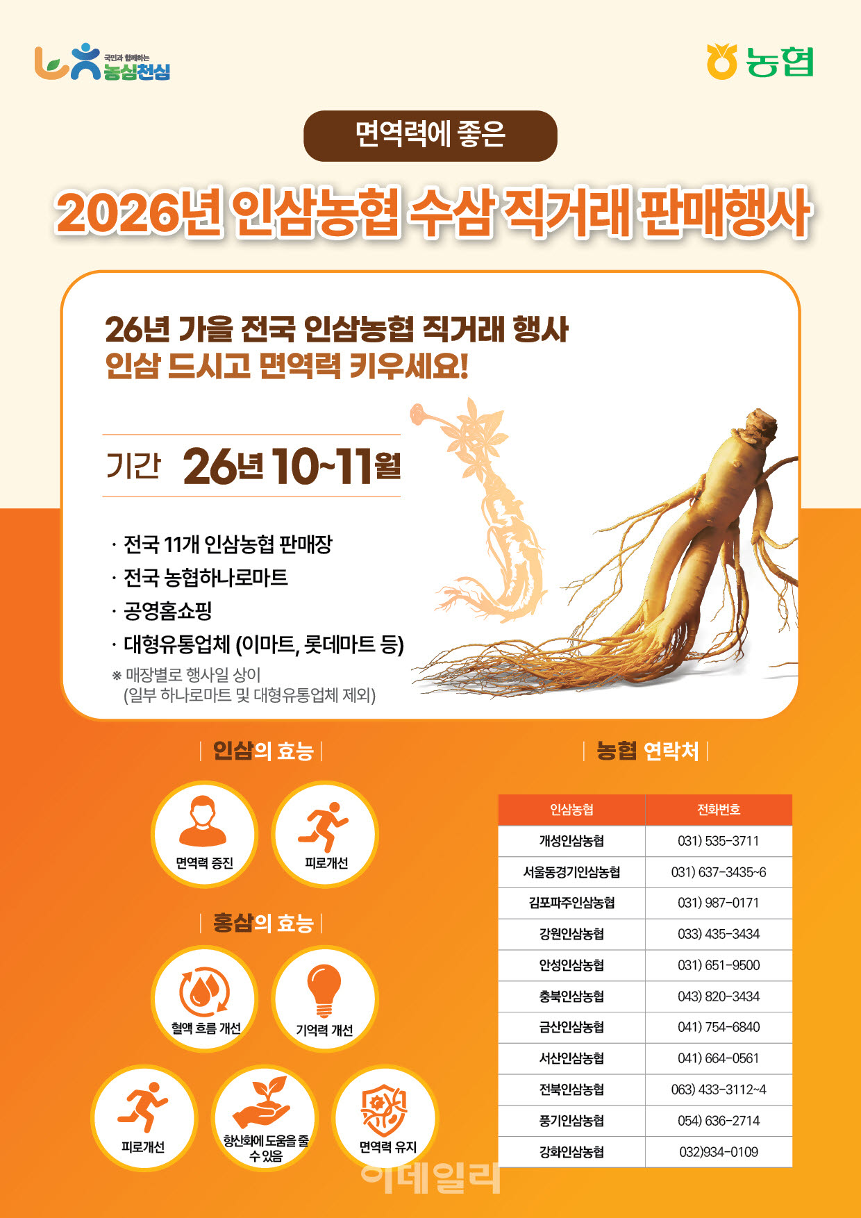 [포토] 농협, 6년근 가을 햇수삼 특별 할인행사