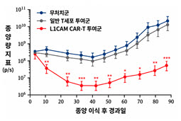 환자 종양을 동물에 이식한 모델에서 L1CAM CAR-T 투여에 따른 난소암 종양 변화.