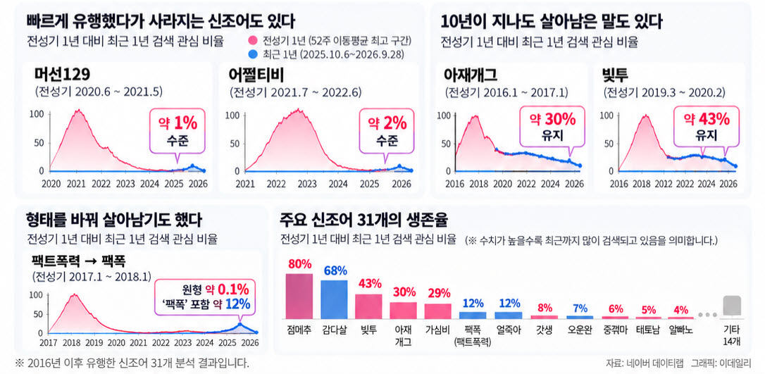 “밤티 몰라요? 밤티나네”…20대 신조어, 40대는 16주 뒤 검색