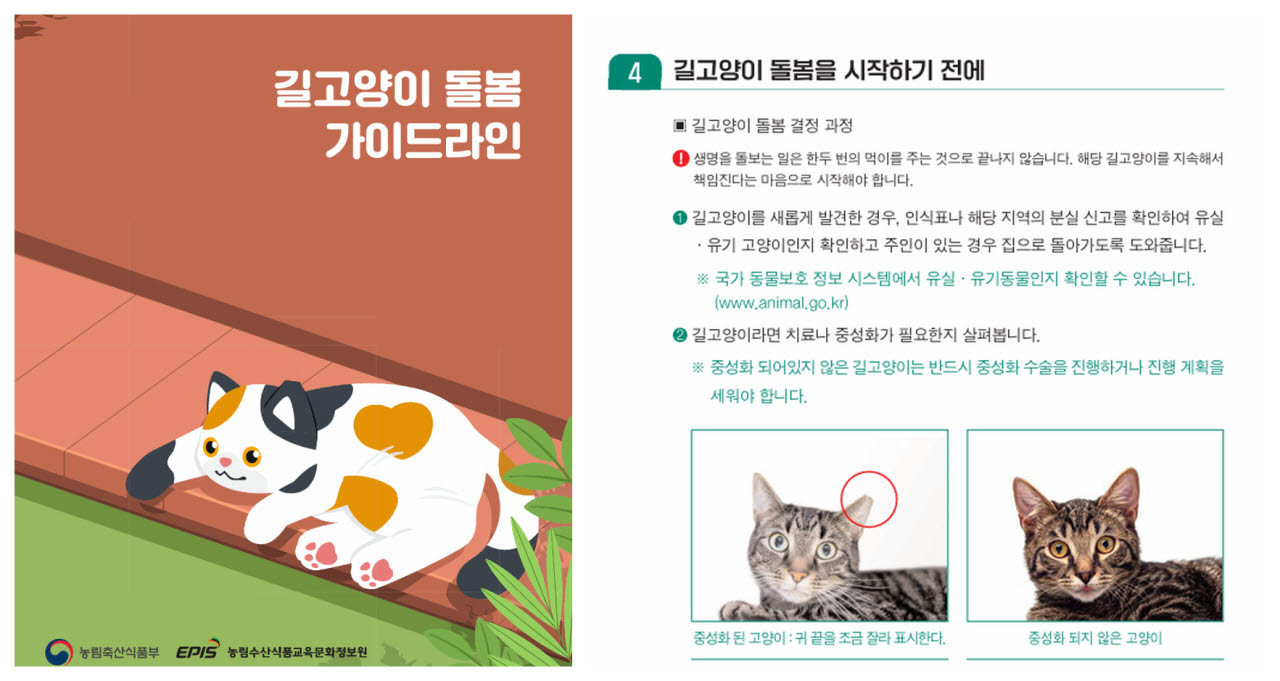 농림축산식품부와 농림수산식품교육문화정보원이 마련한 ‘길고양이 돌봄 가이드라인’. 가이드라인에는 길고양이 돌봄 전 유실·유기동물 여부와 중성화 여부를 확인하고, 중성화되지 않은 경우 수술을 진행하거나 계획을 세워야 한다는 내용 등이 담겼다. (사진=농림축산식품부)