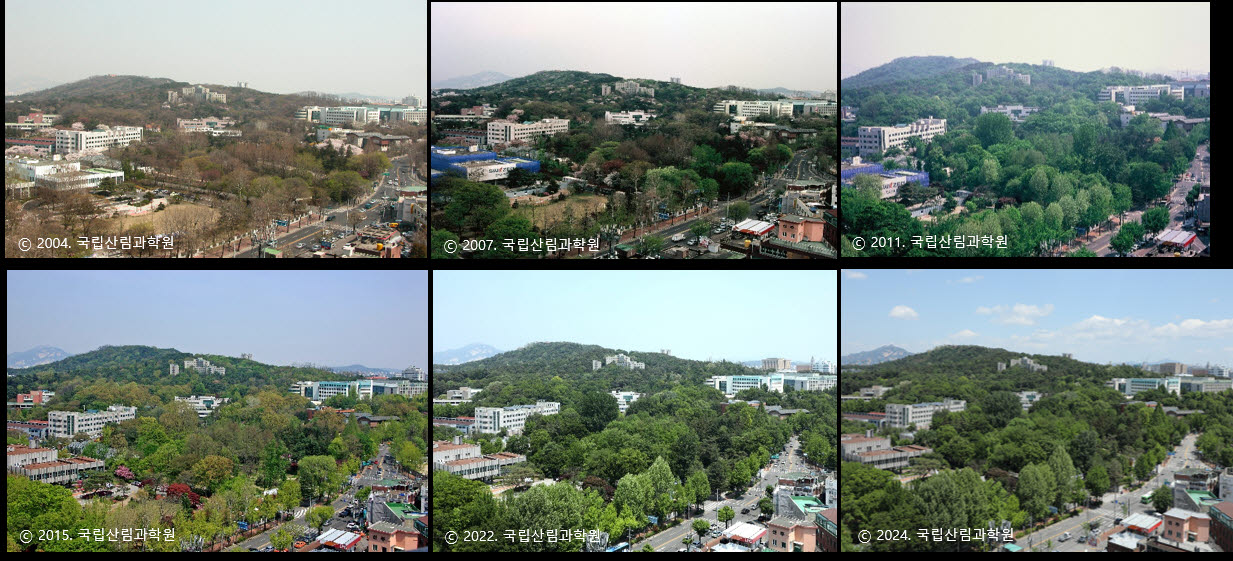 서울 동대문의 홍릉숲 변천사. (사진=국립산림과학원)