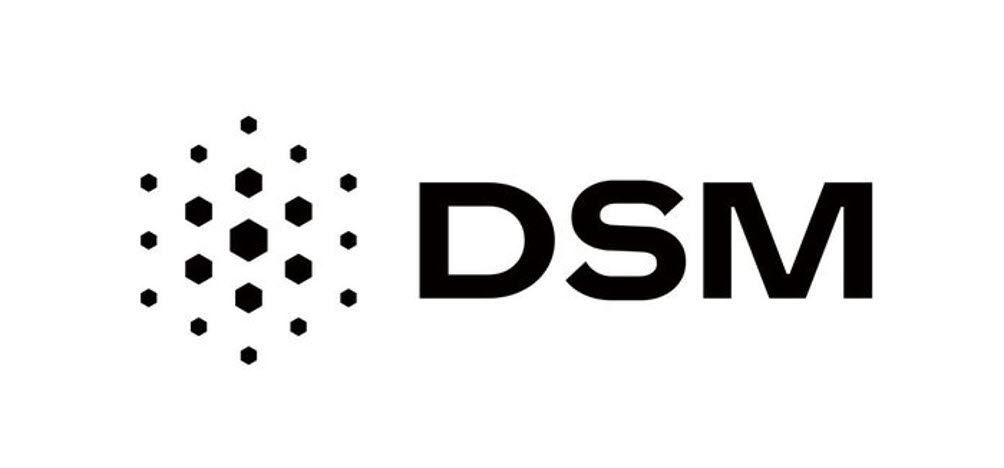 DSM’s Incheon Airport Park to Open in 2027, Driving Growth
