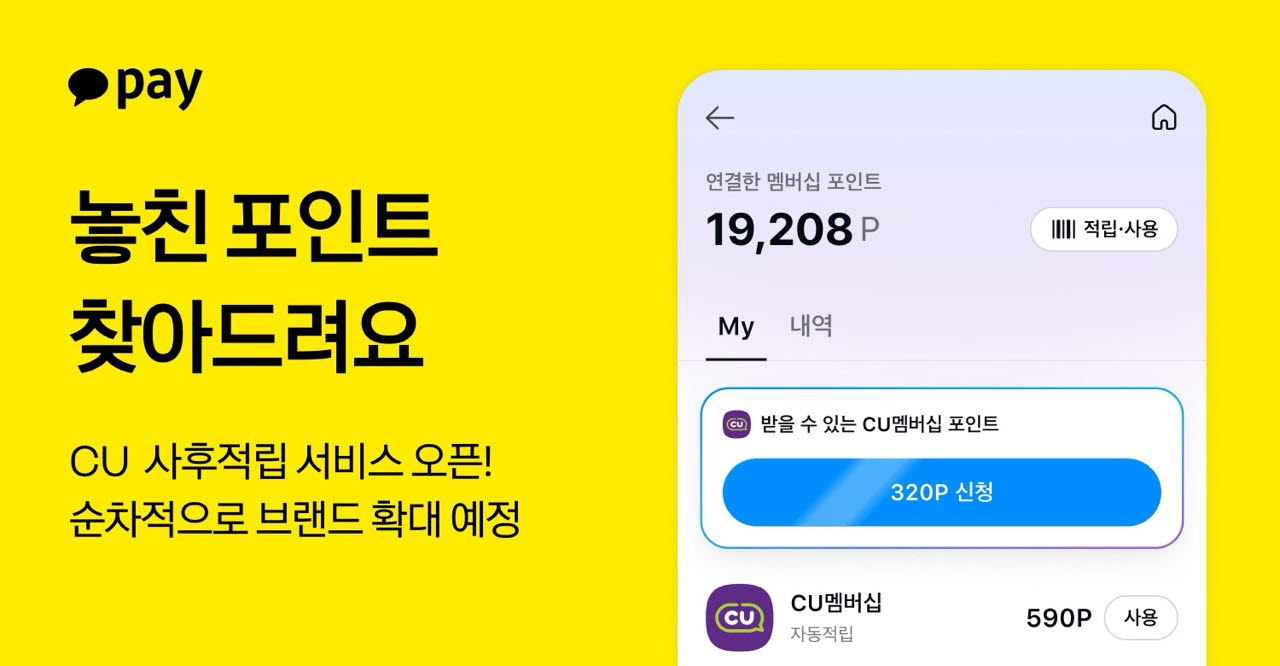 (자료=카카오페이)