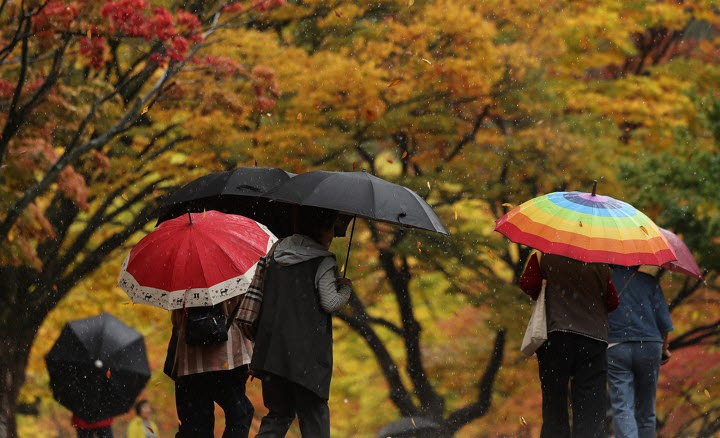 지난 13일 단풍이 물든 대구 팔공산 동화지구에서 시민들이 우산을 쓰고 산책하고 있다. (사진=연합뉴스)