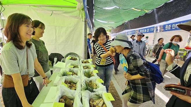 사진=봉화군