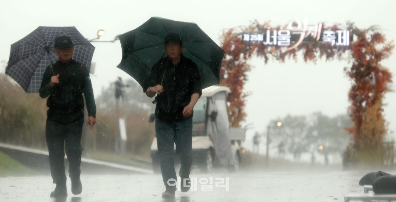 요란한 가을비가 내리는 18일 서울 마포구 하늘공원에서 열린 '제25회 서울 억새 축제'를 찾은 시민들이 우산을 쓰고 억새밭을 산책하고 있다.(사진=방인권 기자)